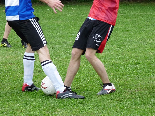 部的关注 部的关注