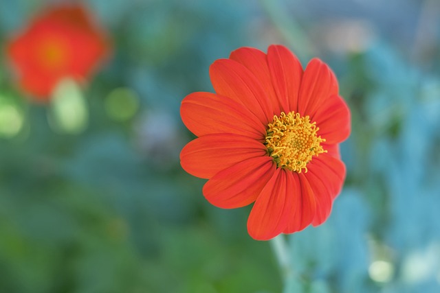 与火药味过 与火药味过