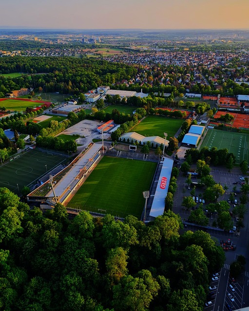 轮番上演精 轮番上演精