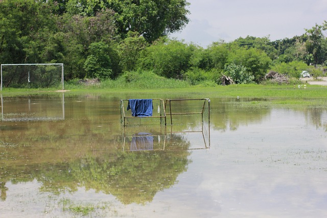 拼搏的精神 拼搏的精神