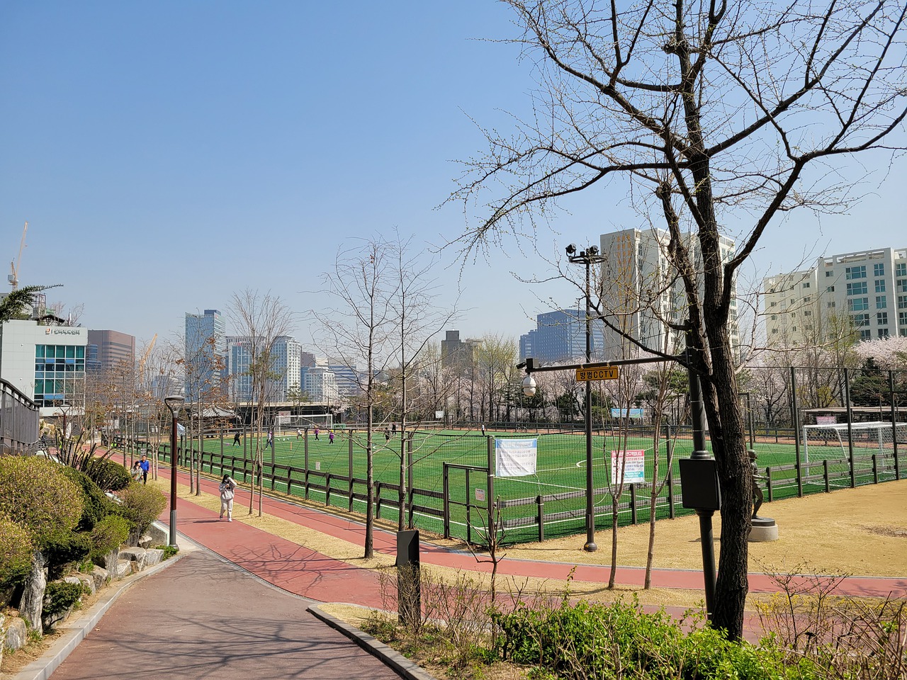 智取不仅仅 智取不仅仅