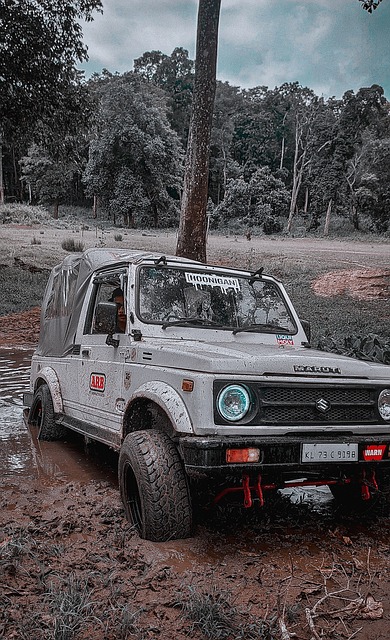 表現並不理 表現並不理